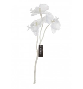 Roślina szt. - gałązka białej orchidei Aluro
