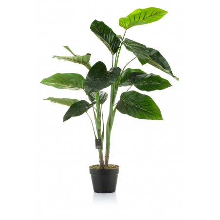Roślina sztuczna - liście strelicji Aluro