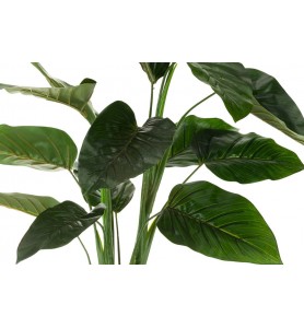Roślina sztuczna - liście strelicji Aluro